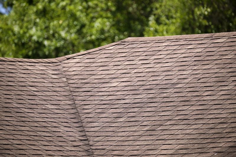 Comprehensive Roof Evaluation