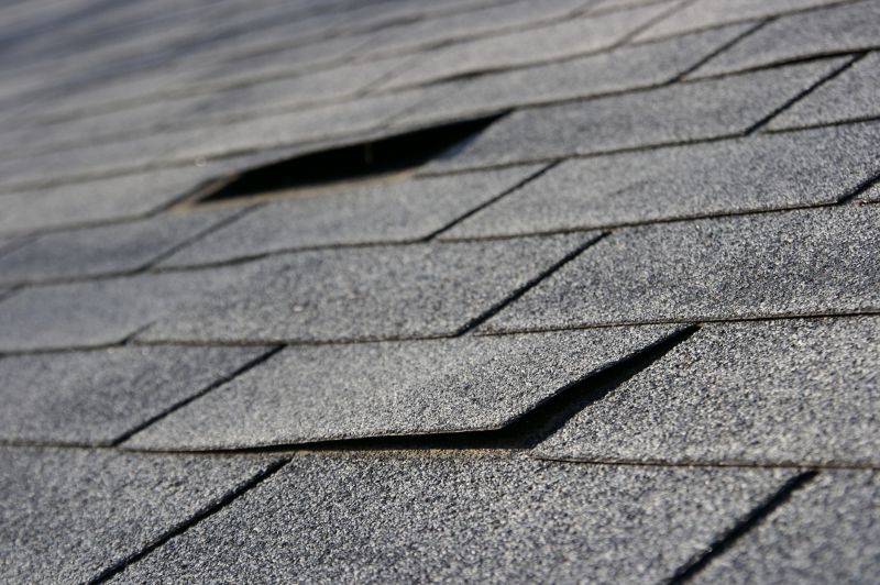 Professional Roof Repair