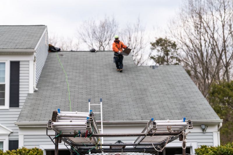 Local Roofing Specialists